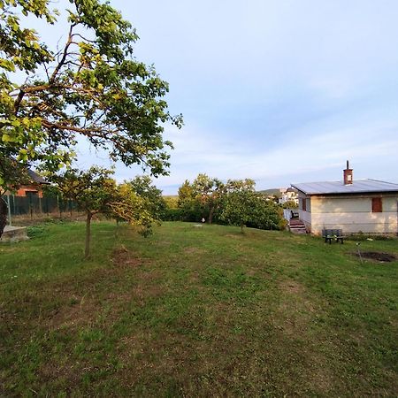 Wine House Znojmo Villa ภายนอก รูปภาพ
