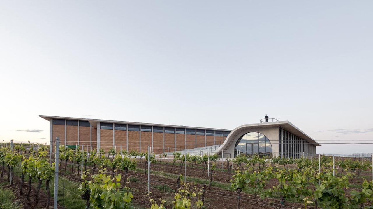 Wine House Znojmo Villa ภายนอก รูปภาพ
